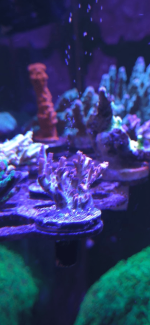 IMG_3528.png IMG_3528.png