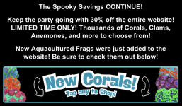 Screenshot 2025-10-31 at 2.44.05 PM.png