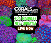 11.03 new coral.png
