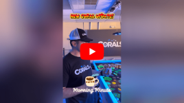 Untitled design(154).png