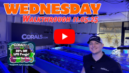 Walkthrough 1105.25(1).png