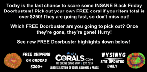 Screenshot 2025-11-07 at 3.52.08 PM.png