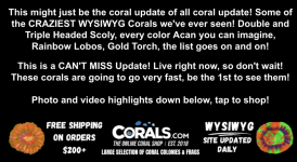 Screenshot 2025-11-11 at 2.57.02 PM.png