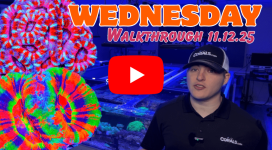 Walkthrough 11.12.25(1).png