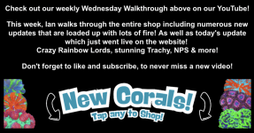 Screenshot 2025-11-12 at 1.47.50 PM.png