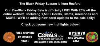 Screenshot 2025-11-14 at 12.16.39 PM.png