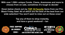 Screenshot 2025-11-14 at 2.48.35 PM.png