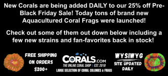 Screenshot 2025-11-14 at 3.12.42 PM.png