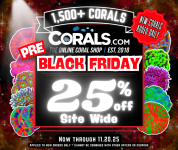 Pre Black Friday 2025.png