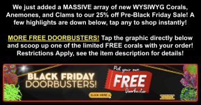 Screenshot 2025-11-18 at 12.59.43 PM.png