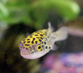 Screenshot 2025-11-19 at 9.47.45 AM.png