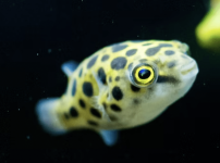 Screenshot 2025-11-19 at 9.48.06 AM.png