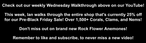 Screenshot 2025-11-19 at 2.58.42 PM.png