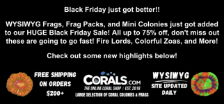 Screenshot 2025-11-21 at 10.53.06 AM.png