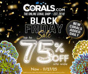 Black Friday 2025(1).png