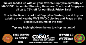 Screenshot 2025-11-21 at 4.22.22 PM.png