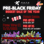 Pre-Black Friday 600x600 (1).gif