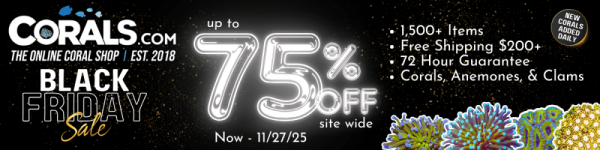 1200x300 BF r2r 2025.png