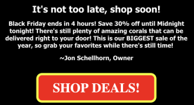 Screenshot 2025-11-28 at 7.36.59 AM.png