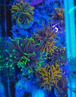 2025-11-28 15.30.24.jpg