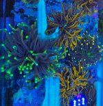 2025-11-28 15.30.26.jpg