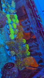 2025-11-28 15.30.36.jpg