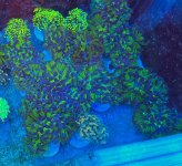 2025-11-28 15.30.46.jpg