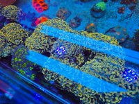 2025-11-28 15.30.49.jpg