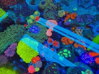 2025-11-28 15.31.00.jpg