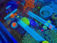 2025-11-28 15.31.03.jpg