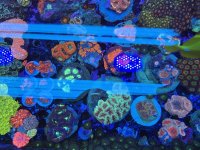 2025-11-28 15.31.09.jpg