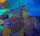 2025-11-28 15.31.15.jpg