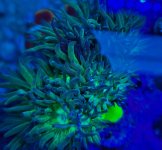 2025-11-28 15.31.44.jpg