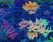 2025-11-28 15.32.30.jpg