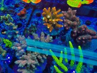 2025-11-28 15.32.33.jpg