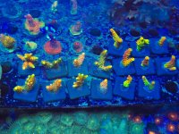 2025-11-28 15.32.42.jpg