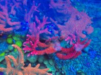 2025-11-28 15.32.58.jpg