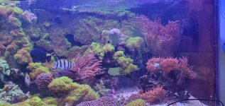 WhatsApp Image 2025-12-05 at 08.24.20_0dbac703.jpg