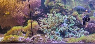 WhatsApp Image 2025-12-05 at 08.24.20_55754b94.jpg