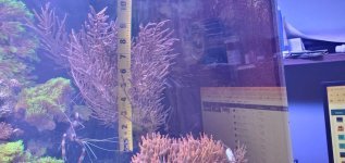 WhatsApp Image 2025-12-05 at 08.24.20_b5add3f4.jpg