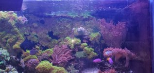 WhatsApp Image 2025-12-05 at 08.24.20_be3efa7f.jpg