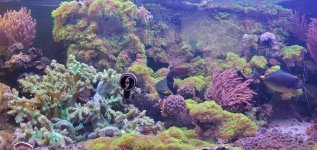 WhatsApp Image 2025-12-05 at 08.24.20_c0cfe0fb.jpg