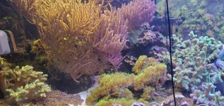 WhatsApp Image 2025-12-05 at 08.24.20_d33a22e3.jpg