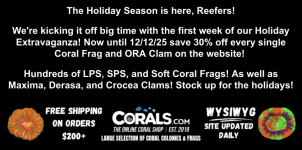 Screenshot 2025-12-05 at 1.47.31 PM.png