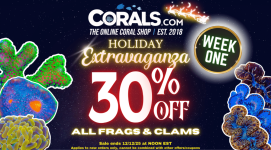 holiday sale week 1 (1290 x 713 px).png