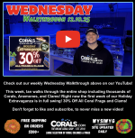 Screenshot 2025-12-10 at 1.45.00 PM.png