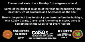 Screenshot 2025-12-12 at 1.15.43 PM.png