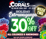 holiday sale week 2(1).png