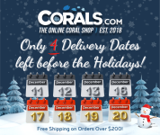 Limited days to ship(4).png