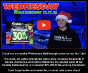 Screenshot 2025-12-17 at 2.29.53 PM.png